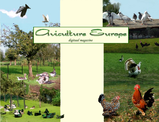 Aviculture Europe